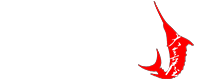 DAIKIYA SUSHI